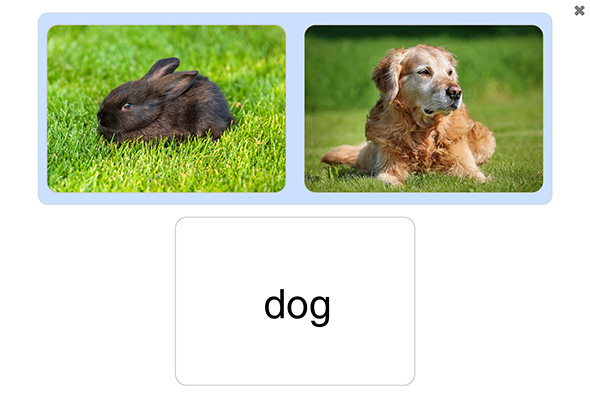 An image of a word to picture matching activity in a See and Learn Phrases app