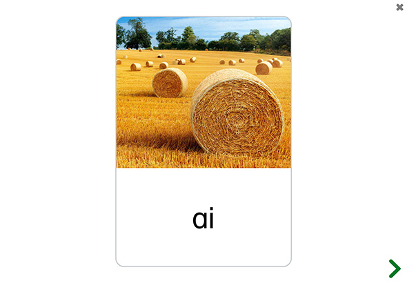 An image of a sound card in a See and Learn Speech app